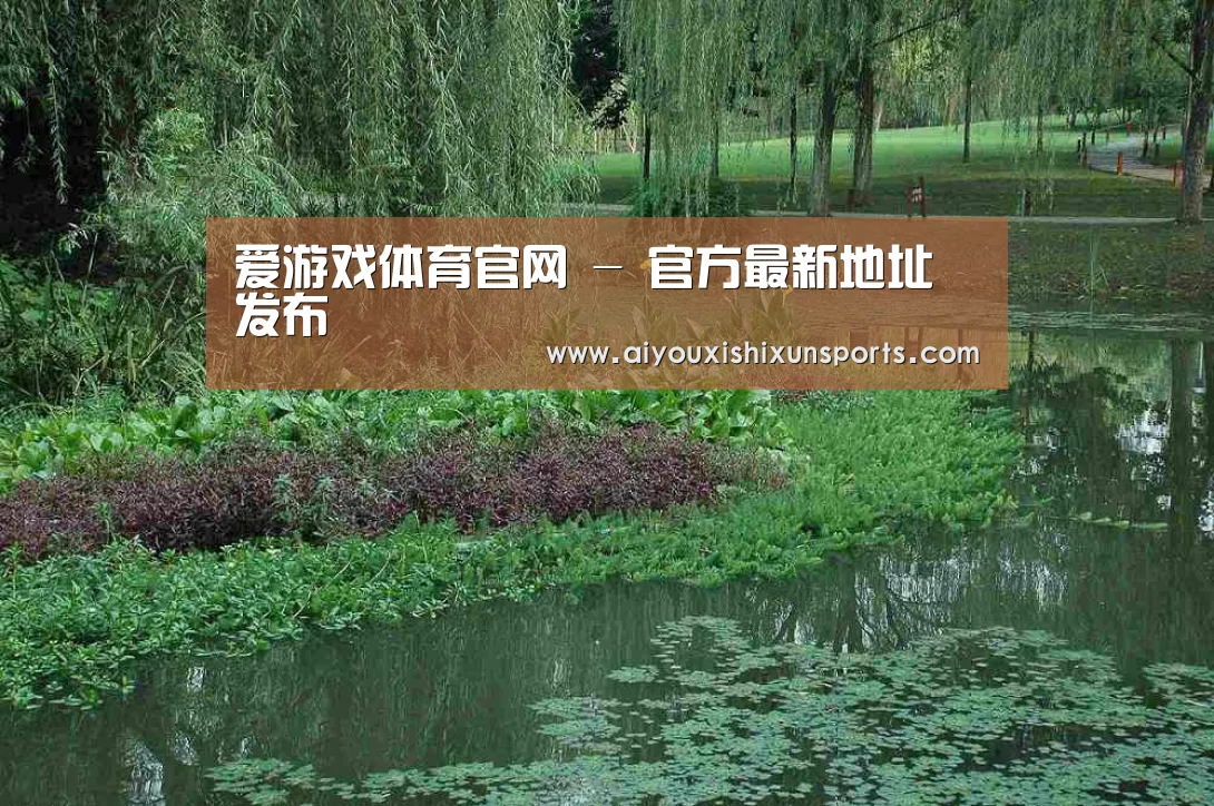 案例展示一(图1)