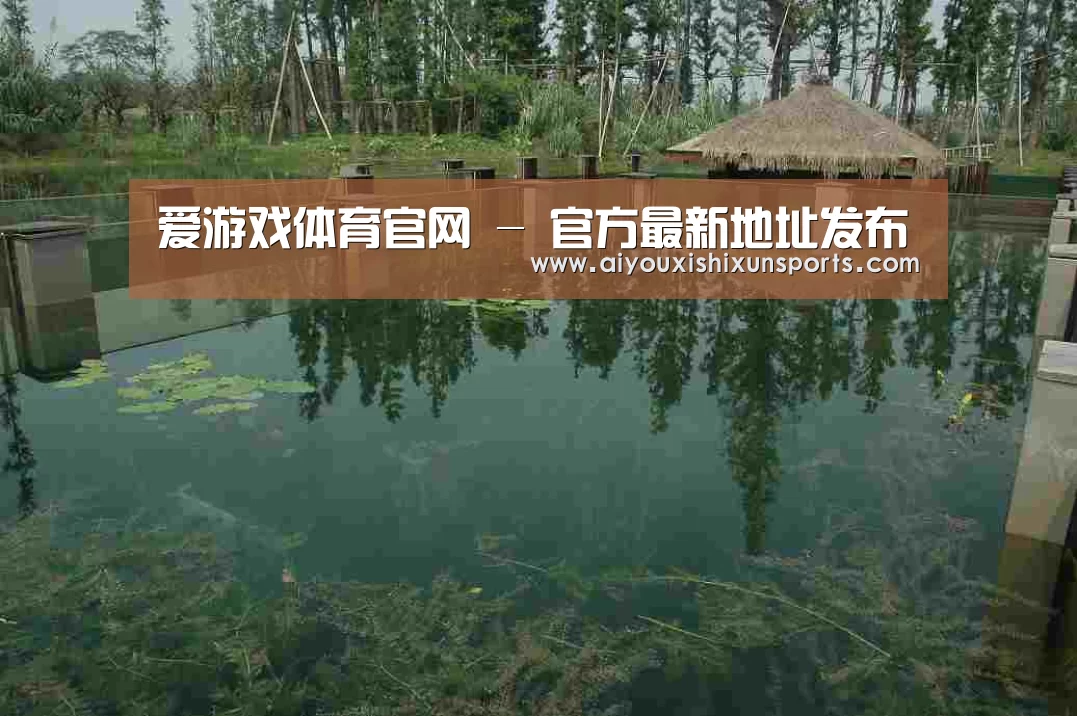 案例展示二(图1)