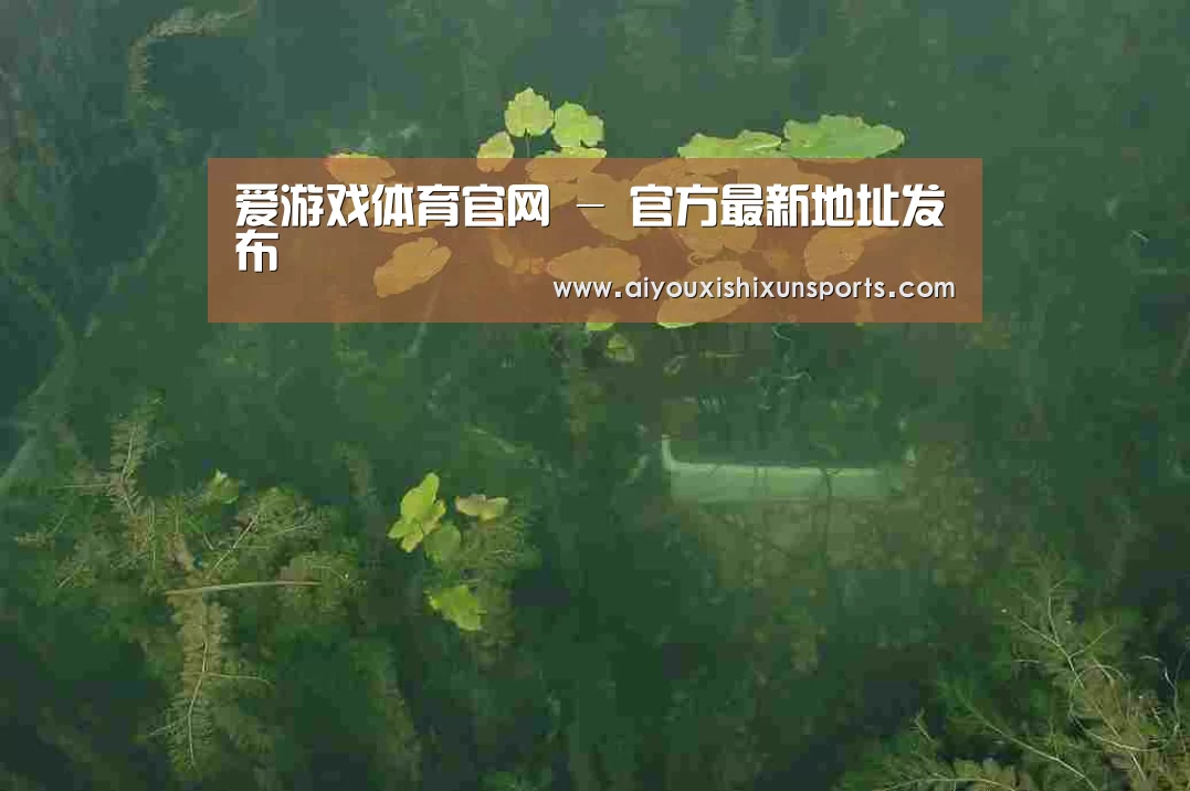 案例展示三(图1)