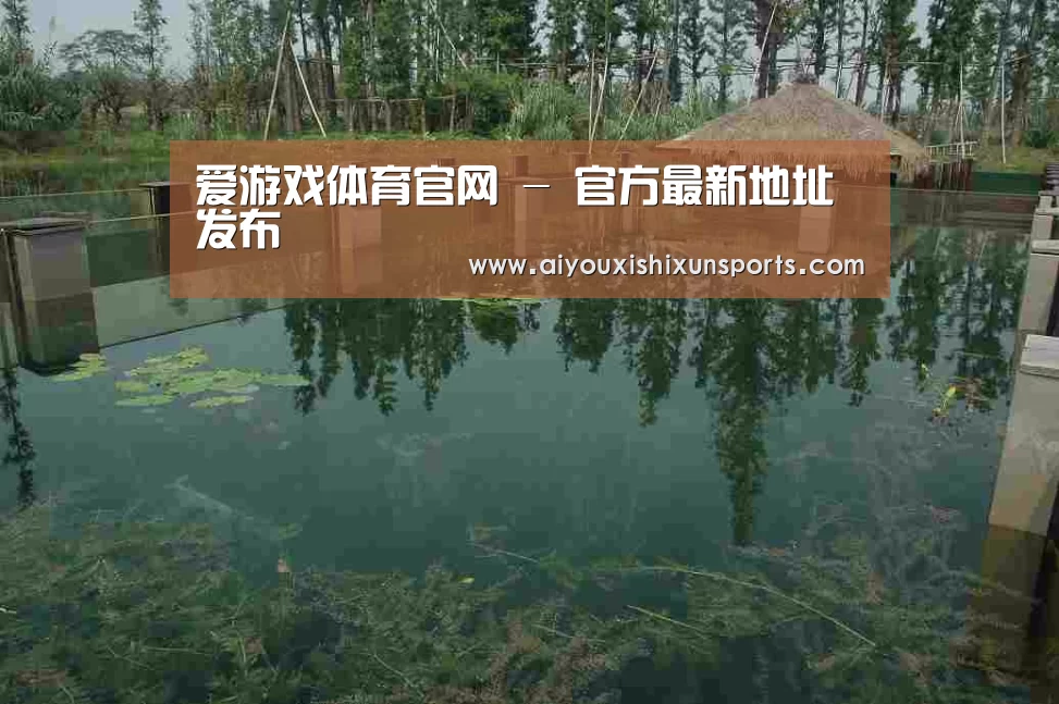 案例展示二