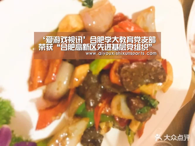 爱游戏视讯