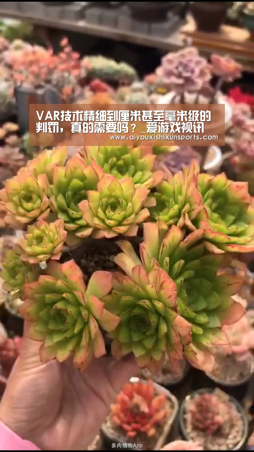 VAR技术精细到厘米甚至毫米级的判罚,真的需要吗?_爱游戏视讯(图2) 爱游戏视讯